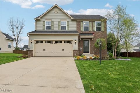 5504 Wightman Circle Medina OH 44256