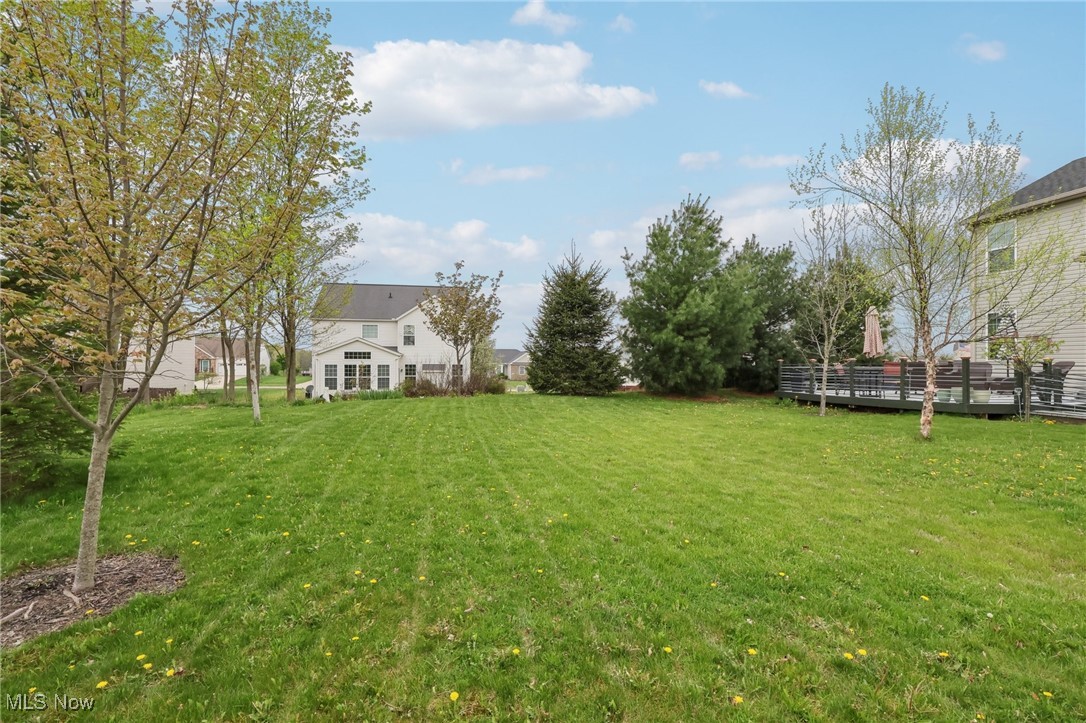 5504 Wightman Circle, Medina, Ohio image 35