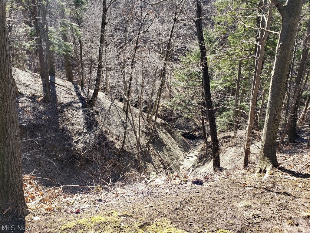 Scottish Hlnds 04 - Residential