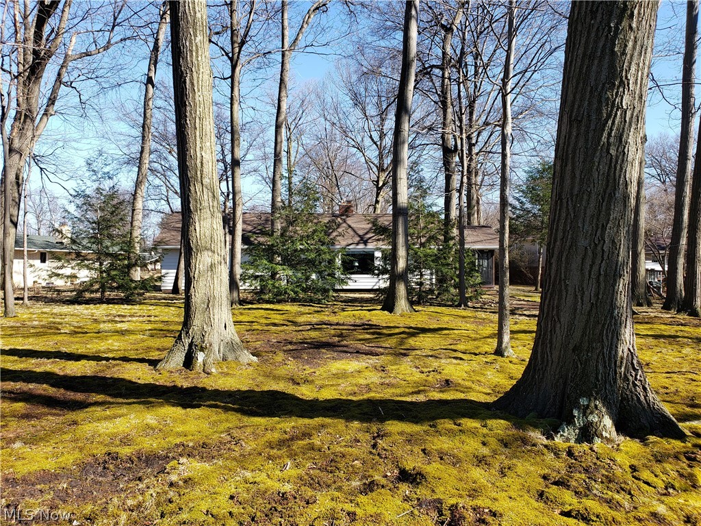 Scottish Hlnds 04 - Residential