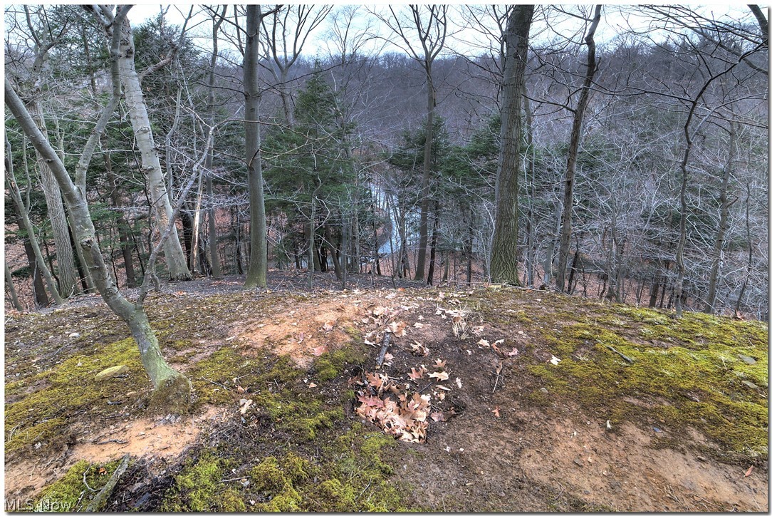 Scottish Hlnds 04 - Residential