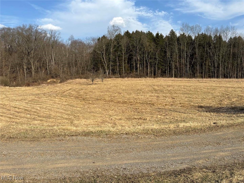 Lot 4 Center, Beverly, Ohio image 2