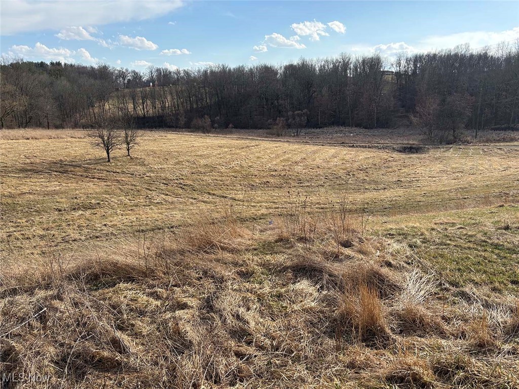 Lot 4 Center, Beverly, Ohio image 1