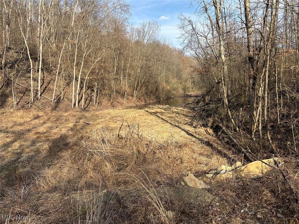 Lot 4 Center, Beverly, Ohio image 7