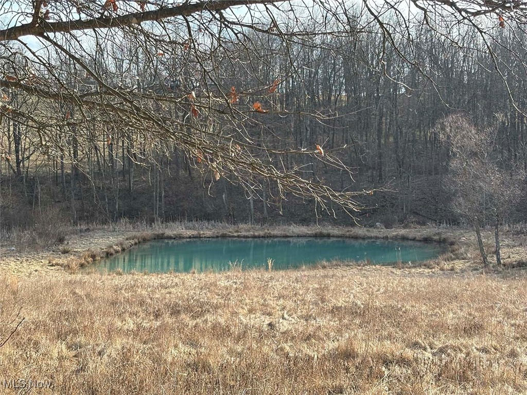 Lot 4 Center, Beverly, Ohio image 3