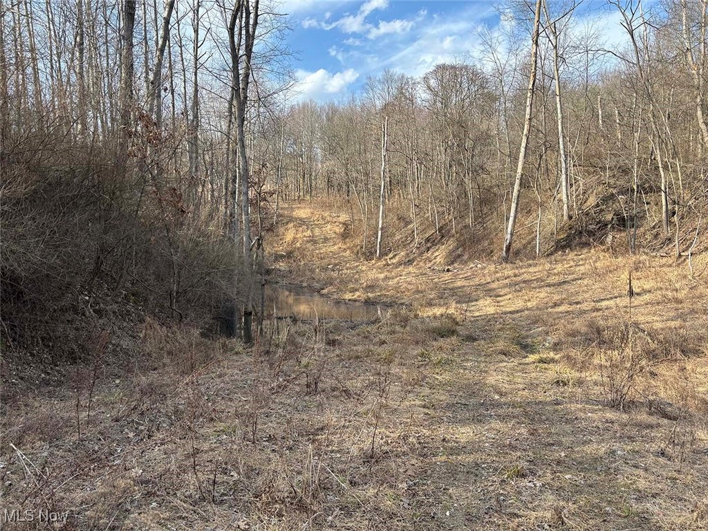 Lot 4 Center, Beverly, Ohio image 6