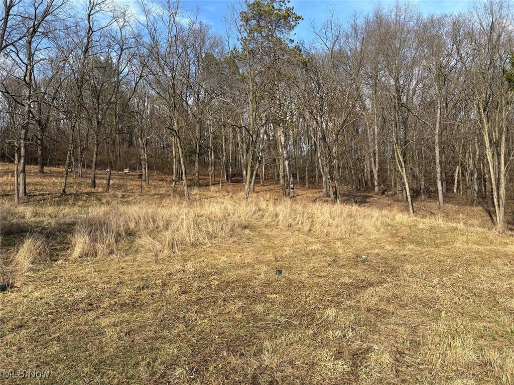 Lot 4 Center, Beverly, Ohio image 4