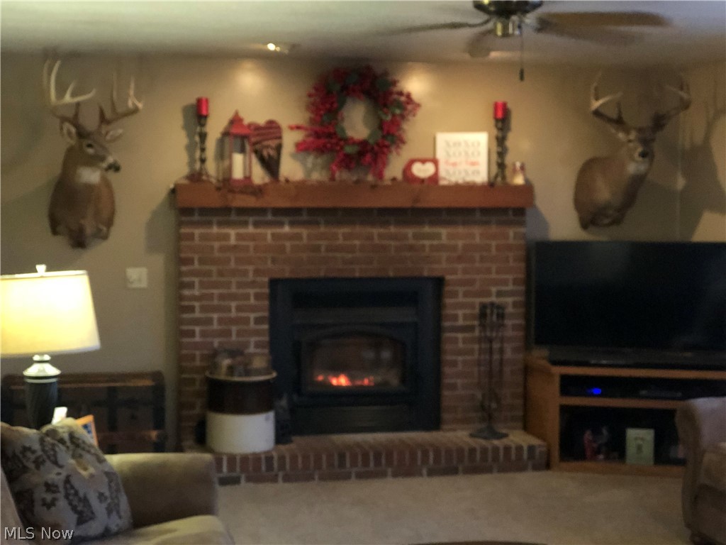 Palmyra - Residential