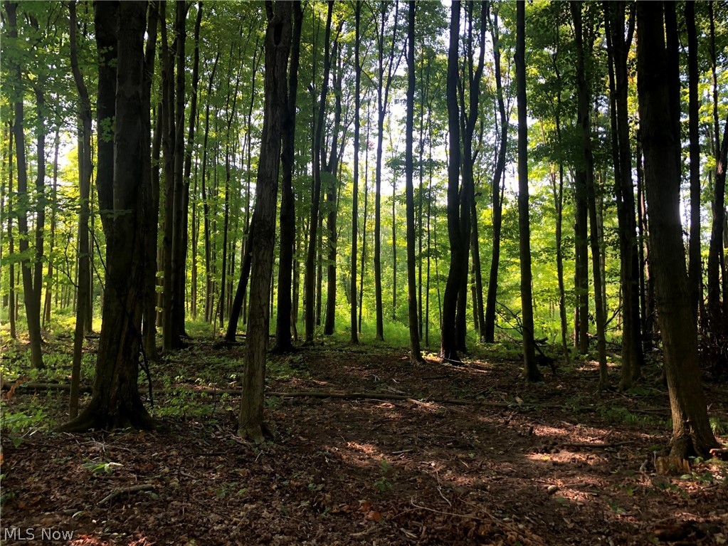 33+ Acres available in Chardon Twp! Large wooded property with 460 feet of driveway that has already been installed! Build your dream home back in the woods and enjoy the privacy while still being close to all of the local amenities that Chardon has to offer!! The convenience of being close to Rt 6 and Rt 44. The property abuts land owned by the Cleveland Museum of Natural History, and is close to Chardon's well known Sages Apple Orchard! Truly a beautiful large piece of property to call your own!!!