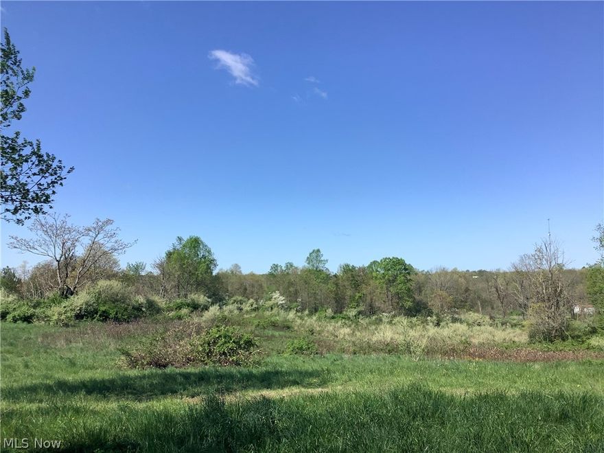 31+ acre wooded and open tract only minutes from Salt Fork. Land is approximately 50/50 wooded to open and could make a great little getaway with all kinds of recreational options and buildable acreage. Over 1,100' of frontage on 2 roads (Old 21/Guernsey Valley Rd). Excellent investment and transfers with the gas and oil rights to the property.