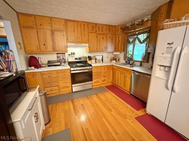 2455 David Court