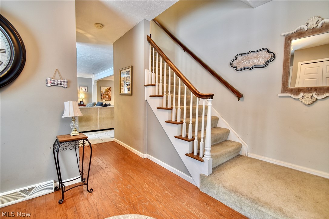 Buena Vista Estates - Residential