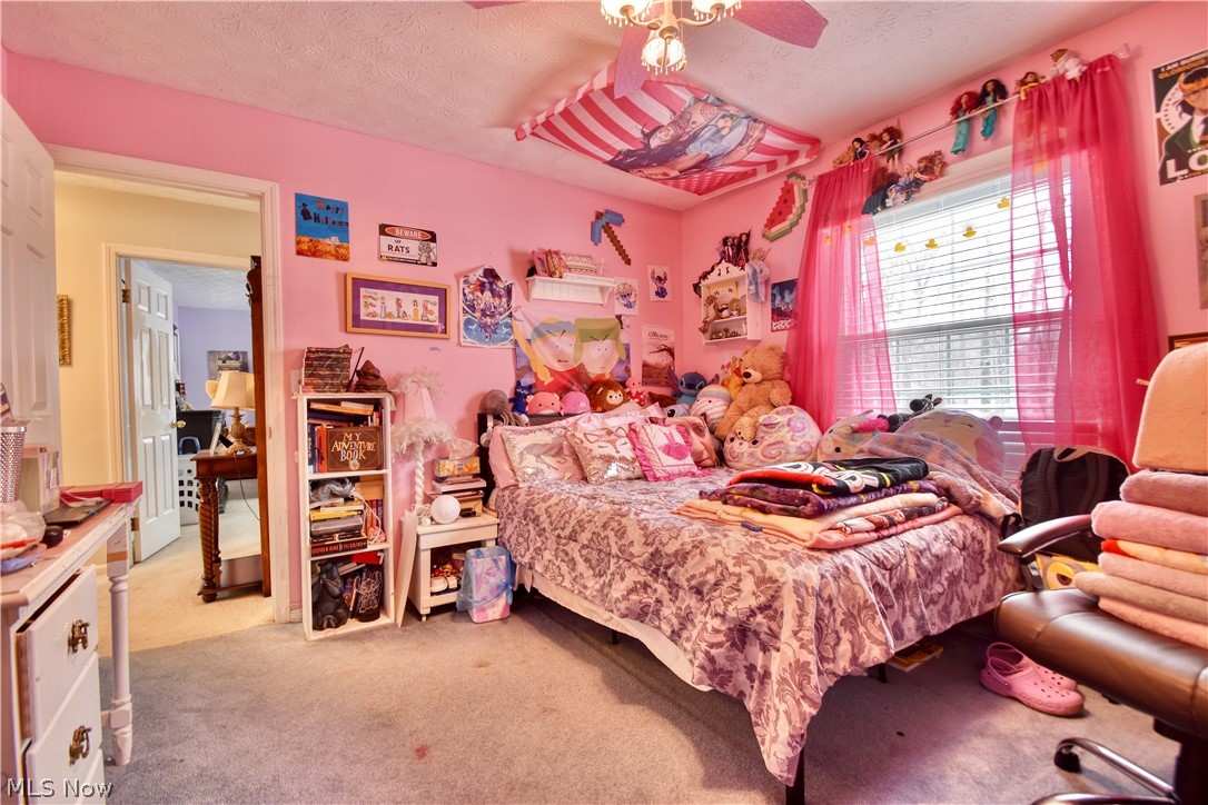 Buena Vista Estates - Residential