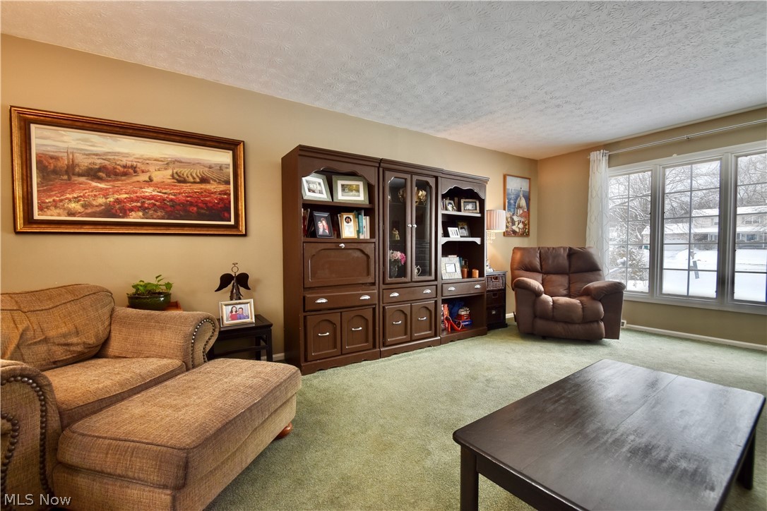 Buena Vista Estates - Residential