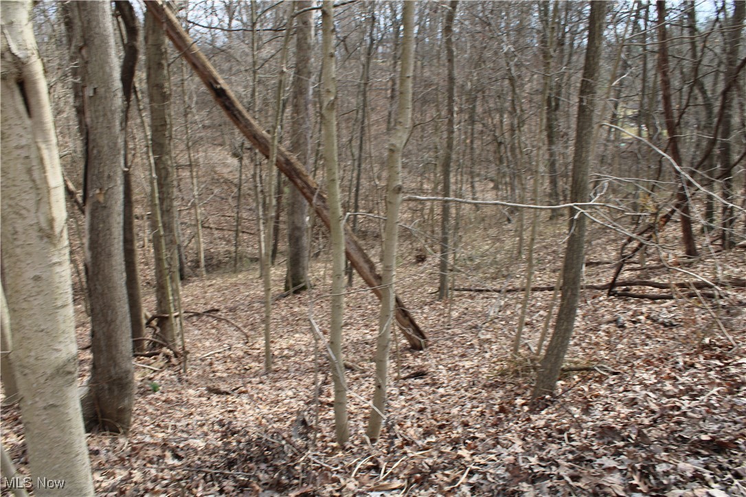 Mooreland Road, Belpre, Ohio image 45
