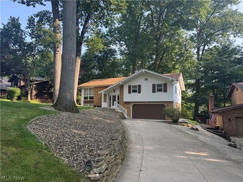 Homes For Sale - 205 Rutledge Drive<br/> Summit County, Akron, OH 44319