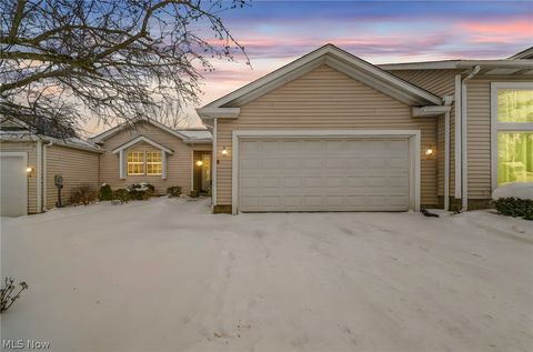 Photo of 9696 Country Scene Lane, Concord Township, OH 44060 (MLS # 5210236)