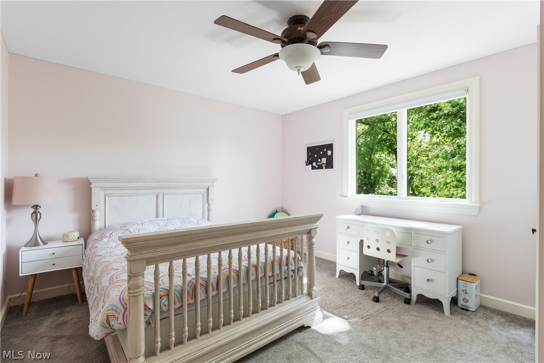 Providence Allotment - Residential