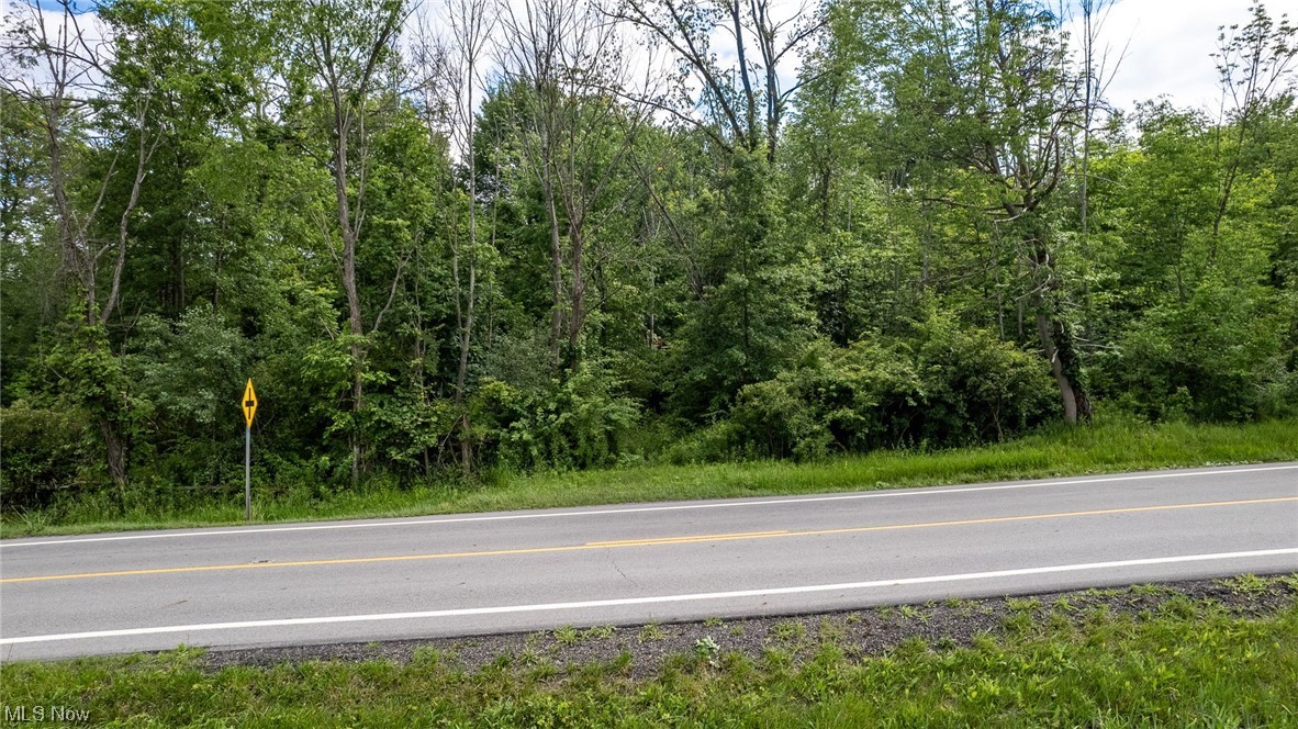 1.1 acres in beautiful Southington. Property once housed a home which has since been torn down. Foundation "should" still be in place but overgrown. Original home home had a well and septic which should still exist, but current condition is unknown. Electric and gas should be at the road.
Creek on property. Buyer to do own due diligence on zoning, building permits and available utilities