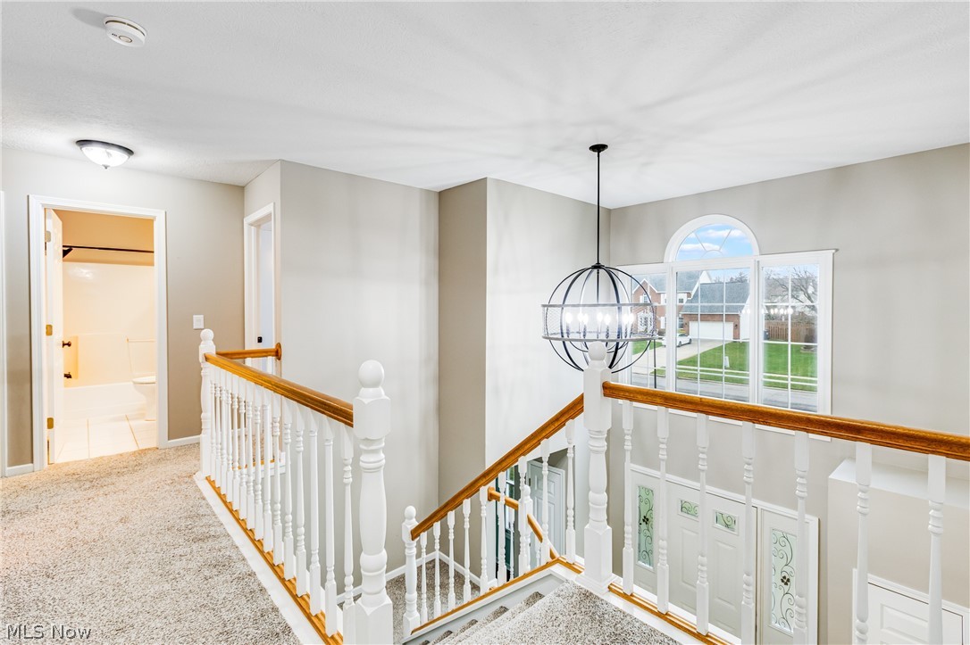 Preserve 5 - Residential