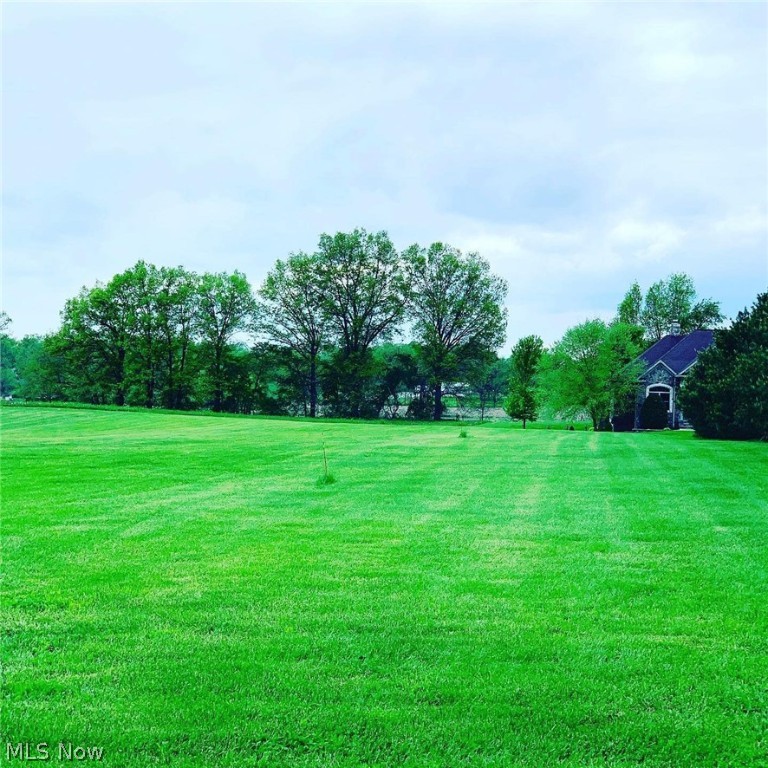JUST LISTED!! Beautiful 1.20 Acre Lot in Marlington Schools District on Immel Avenue in Marlboro Township. Feel free to walk the land. It's build ready! • Septic Approved • Driveway • Leveled and Cleared Lot • Finished Yard Drains •