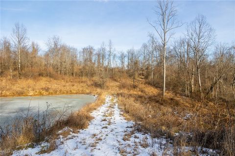 Tiny photo for State Route 377, Malta, OH 43758 (MLS # 5180261)