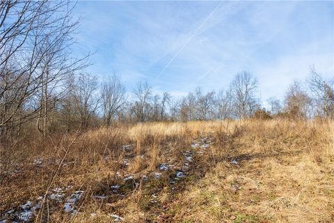 Tiny photo for State Route 377, Malta, OH 43758 (MLS # 5180261)