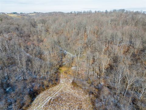 Tiny photo for State Route 377, Malta, OH 43758 (MLS # 5180261)