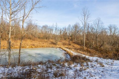 Tiny photo for State Route 377, Malta, OH 43758 (MLS # 5180261)