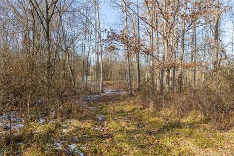 Tiny photo for State Route 377, Malta, OH 43758 (MLS # 5180261)