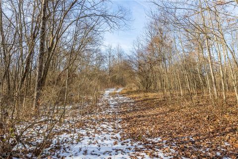 Tiny photo for State Route 377, Malta, OH 43758 (MLS # 5180261)