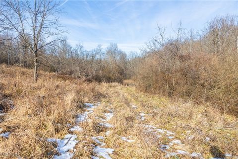 Tiny photo for State Route 377, Malta, OH 43758 (MLS # 5180261)