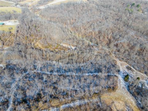 Tiny photo for State Route 377, Malta, OH 43758 (MLS # 5180261)