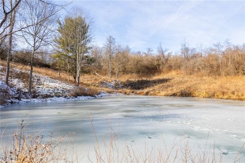 Tiny photo for State Route 377, Malta, OH 43758 (MLS # 5180261)