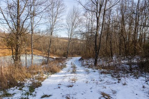 Tiny photo for State Route 377, Malta, OH 43758 (MLS # 5180261)