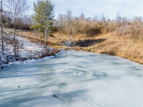 Tiny photo for State Route 377, Malta, OH 43758 (MLS # 5180261)