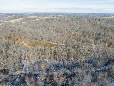 Tiny photo for State Route 377, Malta, OH 43758 (MLS # 5180261)