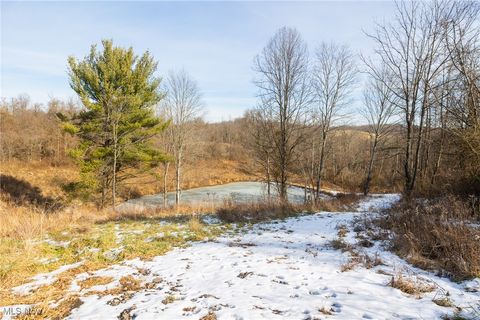 Tiny photo for State Route 377, Malta, OH 43758 (MLS # 5180261)