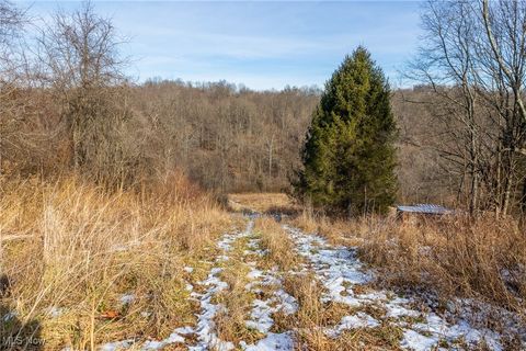 Tiny photo for State Route 377, Malta, OH 43758 (MLS # 5180261)