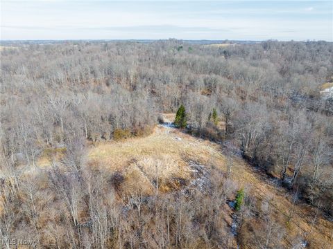 Tiny photo for State Route 377, Malta, OH 43758 (MLS # 5180261)