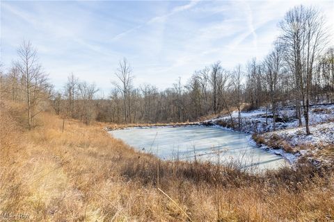 Tiny photo for State Route 377, Malta, OH 43758 (MLS # 5180261)