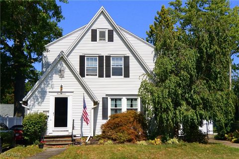 316 Stanford Avenue, Elyria, OH 44035 - #: 5068964