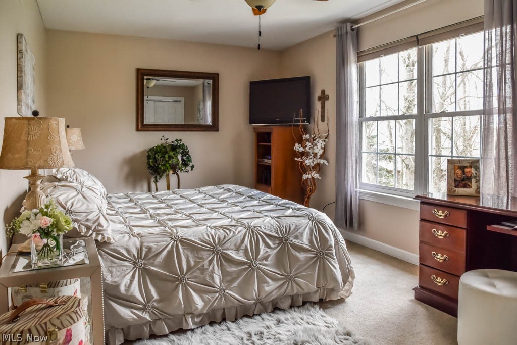 Angels Pond Allotment - Residential