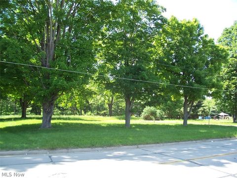 Vacant Land For Sale - 355 N Main Street<br/> Rittman, OH 44270
