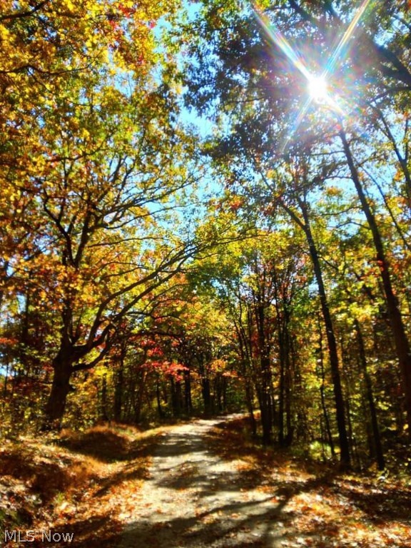 Ohio River Surv - Land