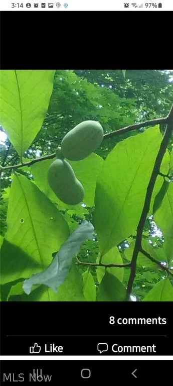 Ohio River Surv - Land