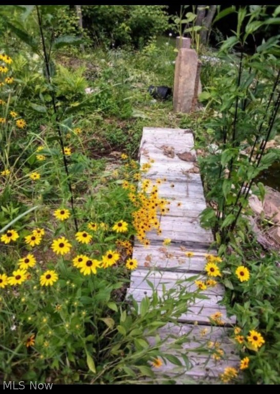 Ohio River Surv - Land