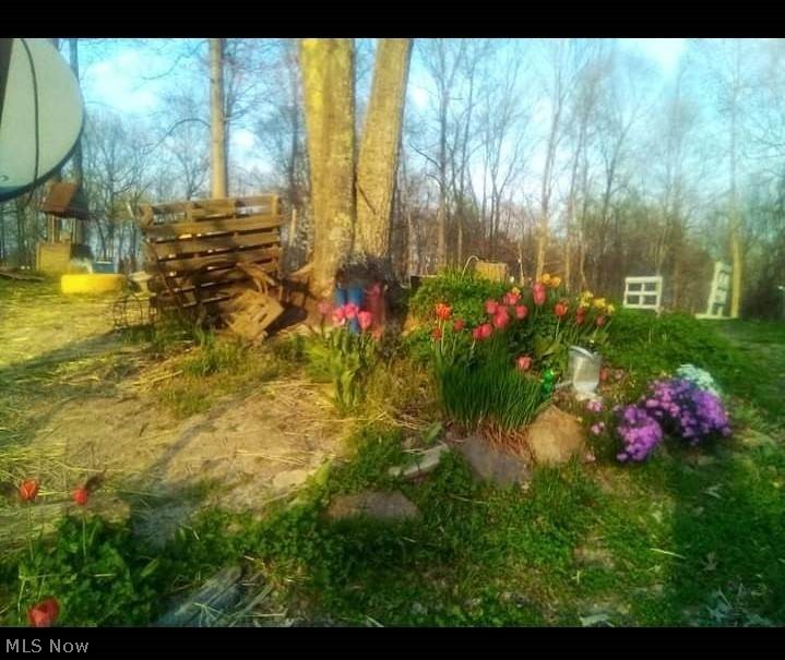 Ohio River Surv - Land