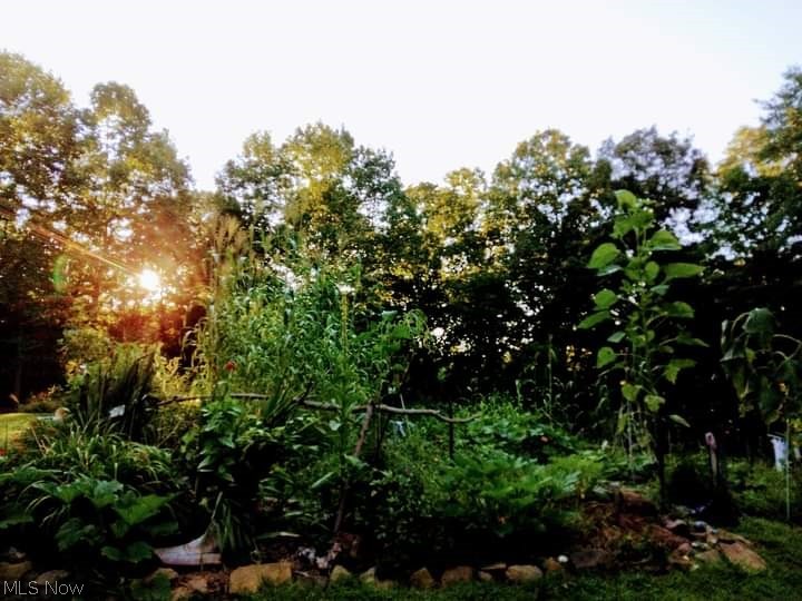 Ohio River Surv - Land