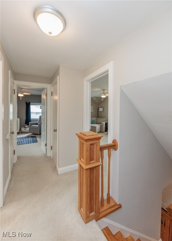 Mayfair - Residential